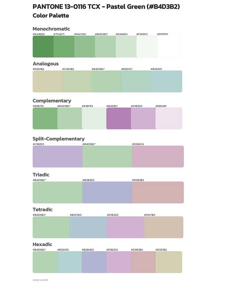 0116 Halı ve Koltuk Yıkama