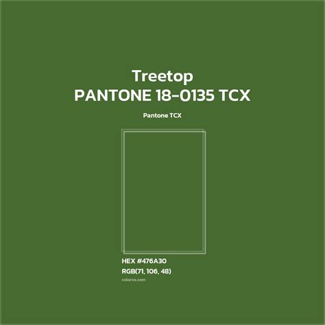 0135 Halı ve Koltuk Yıkama