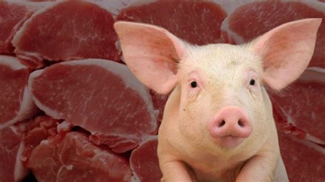 020322 Domuz eti; but, kol vb. parçaları-kemikli (dondurulmuş).