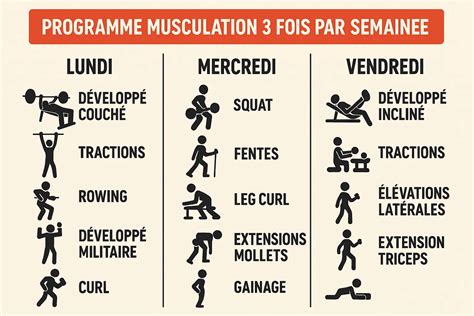 03 Programme De Musculation Regulier Expert