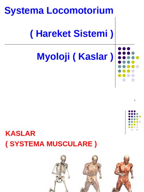 04-Kaslar 2 PDF Scribd.