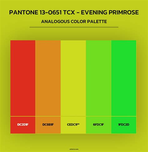 0651 Halı ve Koltuk Yıkama