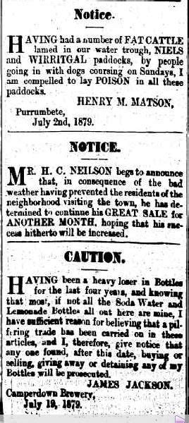 07 Jul 1879 - Advertising - Trove