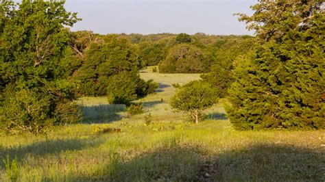 1,200-acre nature preserve to open in Williamson County