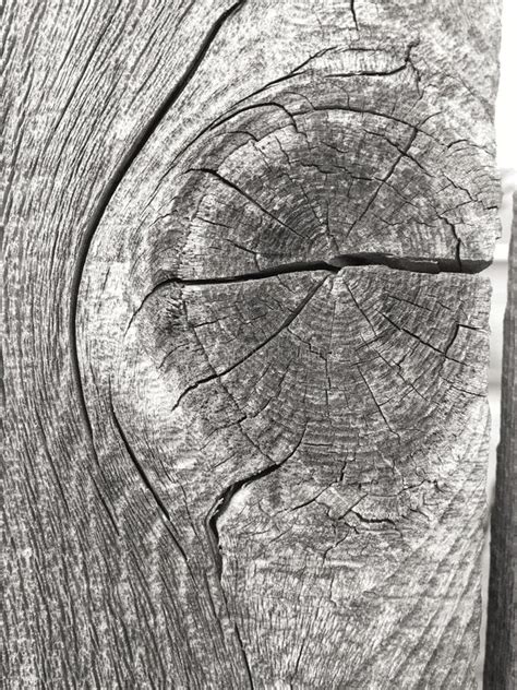 1,308 Wood Knot Hole Stock Photos, Images & Pictures