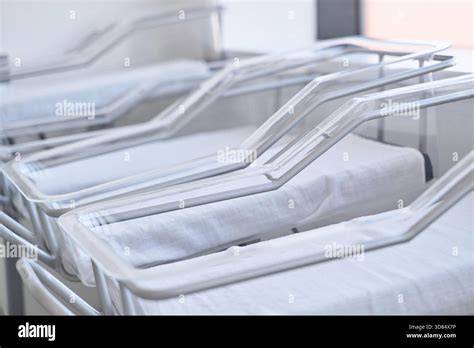 1,517 Nursery Beds Stock Photos - Dreamstime - raincitystudios.com