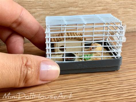 1/6 1/4 miniature hamster cage doll toy dollhouse - Etsy 日本