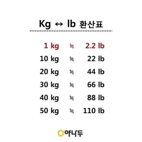 1 파운드 kg