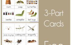 1+1+1=1..Montessori Printables