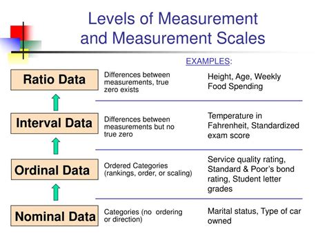 1 2 1 Levels Of Measurement Statistics Libretexts Levels Of Measurement Worksheet - Levels Of Measurement Worksheet