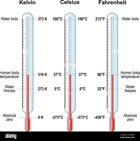 1 3 Thermometers And Temperature Scales Physics Libretexts Thermometer In Science - Thermometer In Science