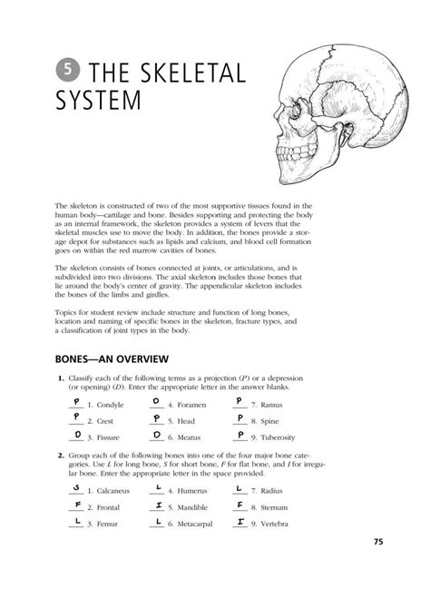 1 36 Skeletal The Workbook System Answers