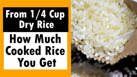 1 Cup Dry Rice Is How Much Cooked Rice? - Facts About Food