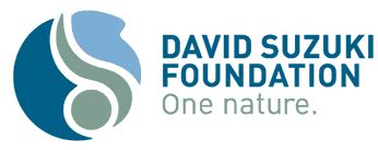 1 David Suzuki Foundation jobs in Canada