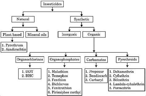 1 Flow chart of the types of Insecticides Download Scientific Diagram