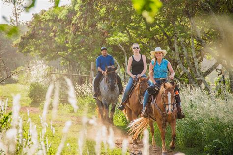 1 Hour Scenic Ride Gunstock Ranch Horseback …