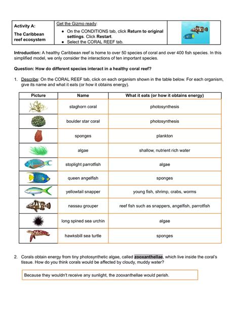 1 Reinforcement Section Factors Abiotic Answer Sheet