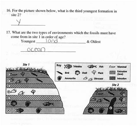 1 Reinforcement Section Fossils Answers