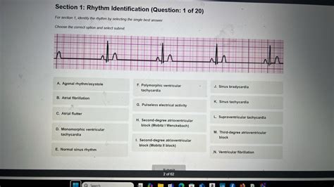 1 Rhythm & Biography New