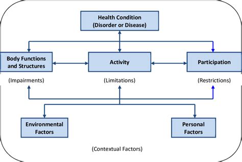 1 The ICF Interactive Model Download Scientific Diagram