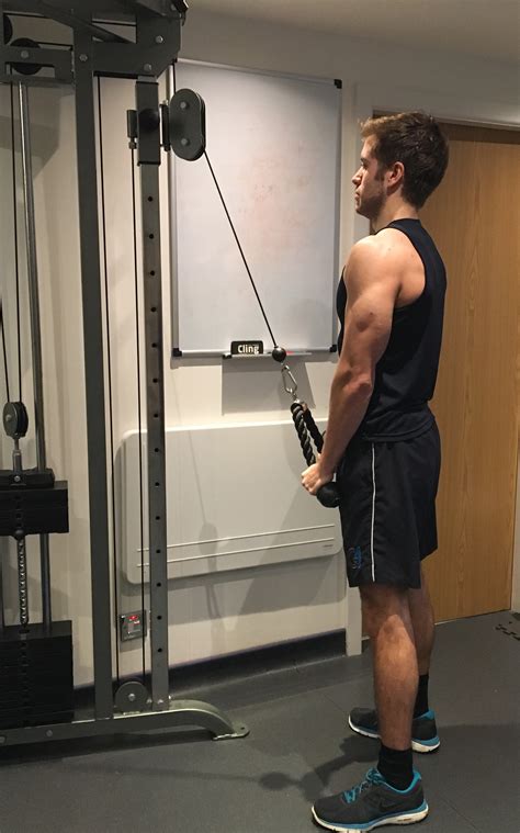 1 Unique Exercise To Build Bigger Triceps (Cable Pressbacks)