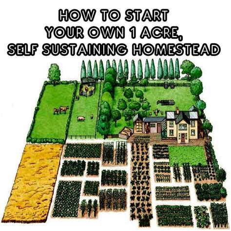 An acre is not a lot of land, so conventional farming methods aren’t going to work for you. But, if you set about it the right way, you will be able to produ.... 