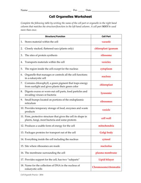 1 Cell Organelles Ws 2016 Key Name Studocu Cell Organelle Research Worksheet Answers - Cell Organelle Research Worksheet Answers