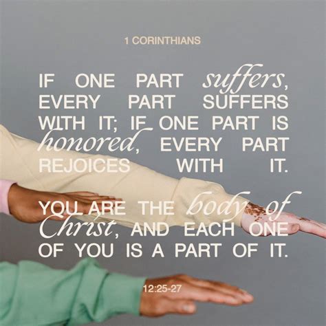 1 corinthians 12 nlt. 1 Corinthians 12:4–7 — The New International Version (NIV) 4 There are different kinds of gifts, but the same Spirit distributes them. 5 There are different kinds of service, but the same Lord. 6 There are different kinds of working, but in all of them and in everyone it is the same God at work. 7 Now to each one the manifestation of the ... 