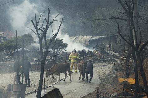 1 dead, hundreds flee wildfire in South Korean seaside city