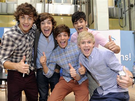 1 direction members biography examples
