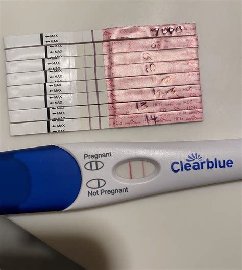 Sore breasts at 10 DPO. Changes to the breast can occur as early as 1 DPO during pregnancy. As hormone levels rise, blood flow and fluid retention do as well. And as your breast tissue reacts to these changes, you may begin to feel heavy, tender, or swollen. Your nipples may also change in size and colour as well as sensitivity.. 