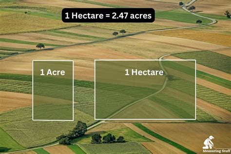 1 hectare is equal to how many acres. Things To Know About 1 hectare is equal to how many acres. 