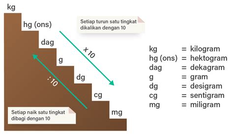 1 hektogram