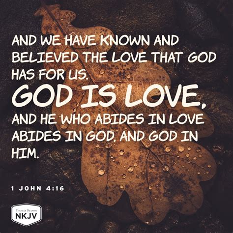1 john 4 nasb. 12 No one has seen God at any time. If we love one another, God abides in us, and His love has been perfected in us. 13 By this we know that we abide in Him, and He in us, because He has given us of His Spirit. 14 And we have seen and testify that the Father has sent the Son as Savior of the world. 15 Whoever confesses that Jesus is the Son of ... 
