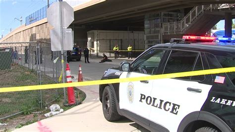 1 killed in Lakewood shooting, suspect in custody