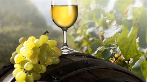 1 litre şarap kaç kilo üzümden yapılır