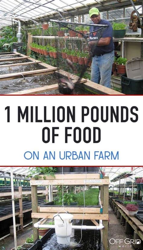 1 million pounds of food on 3 acres