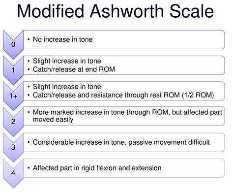 1 Modified Ashworth Scale