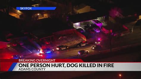 1 person injured, dog killed in Adams County house fire