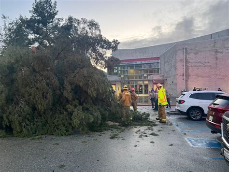 1 person injured after tree falls in Calabasas High School parking lot