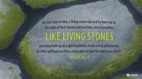 1 Peter 2 4 6 Holy Priesthood Spiritual Sacrifices