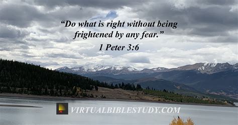 1 peter 3 nasb. 1 Peter 3:14New American Standard Bible. 14 But even if you should suffer for the sake of righteousness, you [ a]are blessed. And do not fear their [ b]intimidation, and do not be in dread, Read full chapter. 