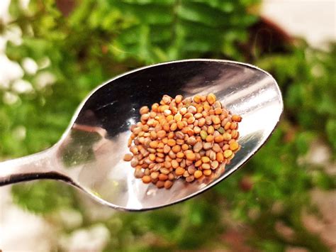 1 tesked  fett  inom gram