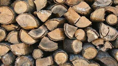 1 ton odun fiyatı 2021