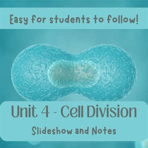 1 Unit 4 Cell Division Guided Notes Amhssdschools