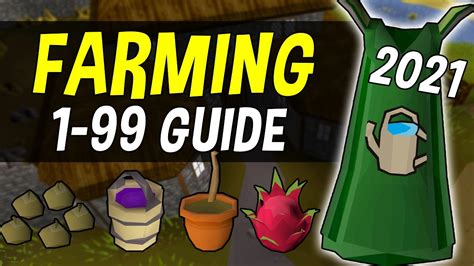 1-99 Farming Guide 2024 OSRS - YouTube