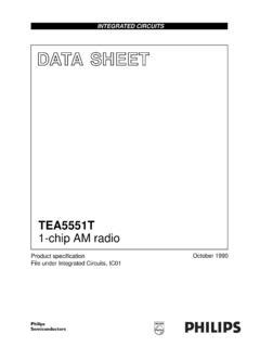 Read 1 Chip Am Radio Shf Micro 