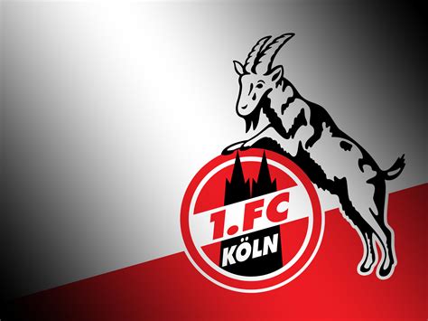 1. FC Köln Kontakt