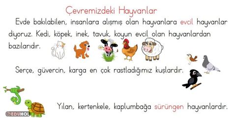 1. Sınıf Hayat Bilgisi Dostumuz Hayvanlar Testi Online Test Çöz. 