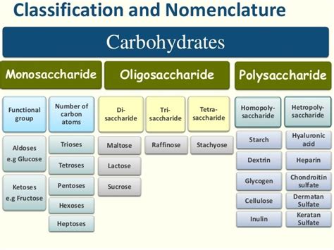 1.2 carbohydrates-1 PDF Carbohydrates Polysaccharide